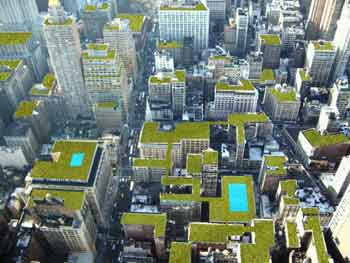 New York City Roof Garden